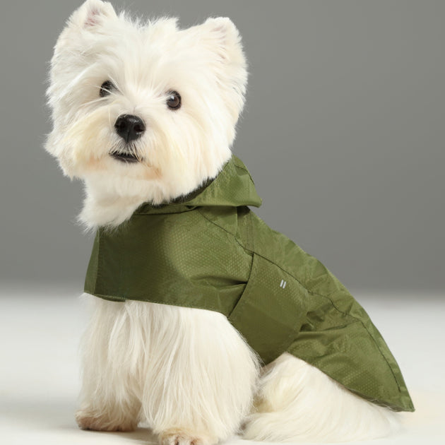 Capsule Raincoat - Green