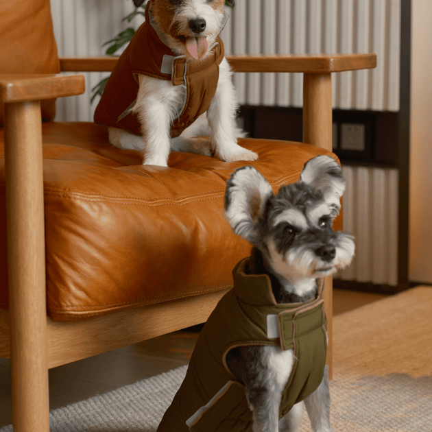 Reversible Dog Vest Jacket - Orange Grey