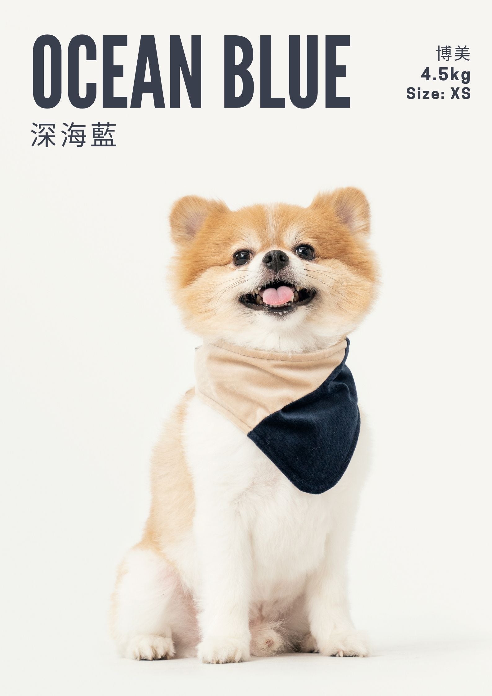 2 in 1 BANDANA - Beige/Blue