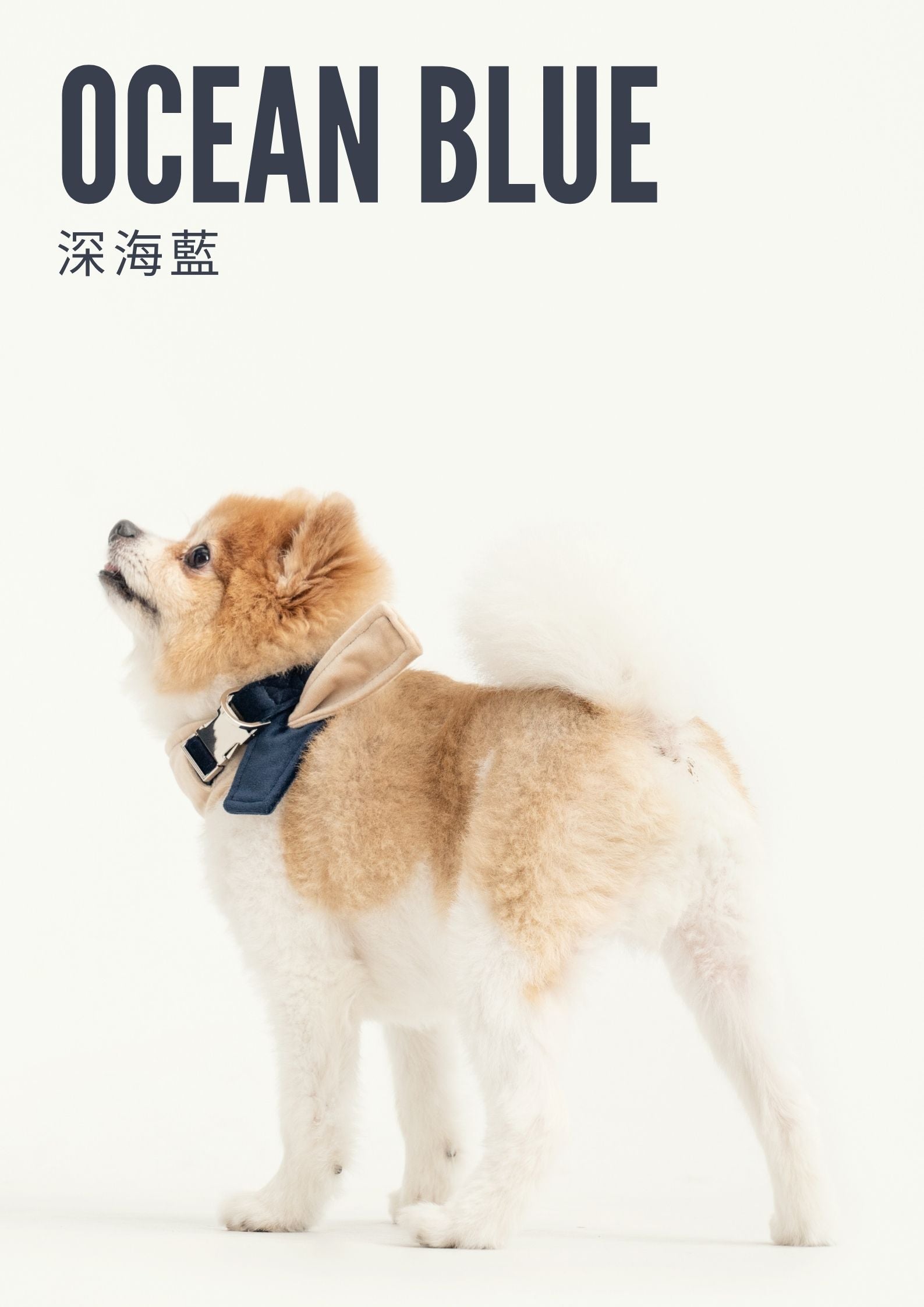 2 in 1 BANDANA - Beige/Blue