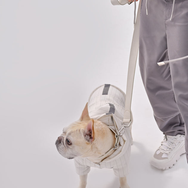 Andersen adjustable Leash