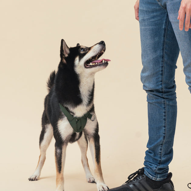 HART PRESSURE RELEASE HARNESS - GREEN