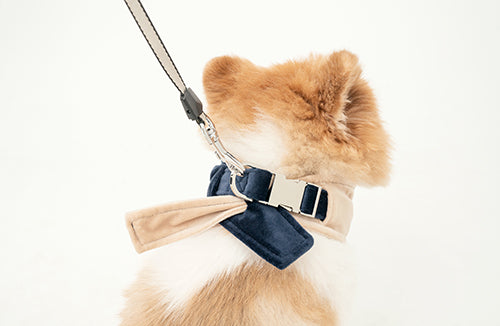 2 in 1 BANDANA - Beige/Blue