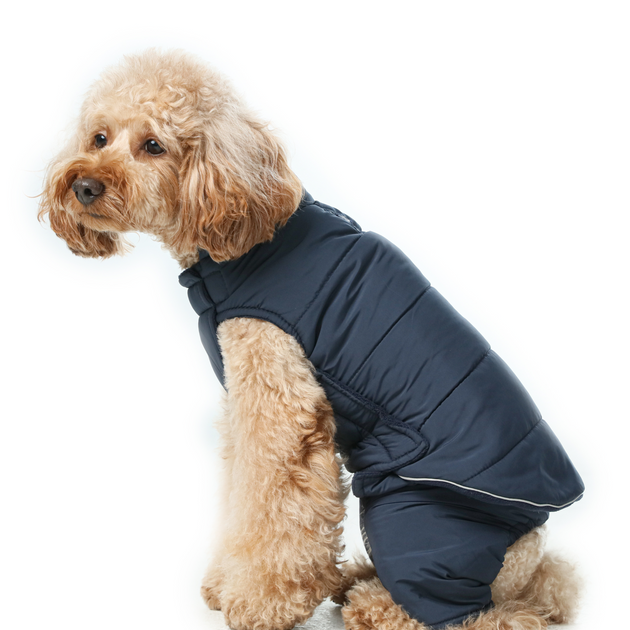 Reversible Dog Vest Jacket - Blue
