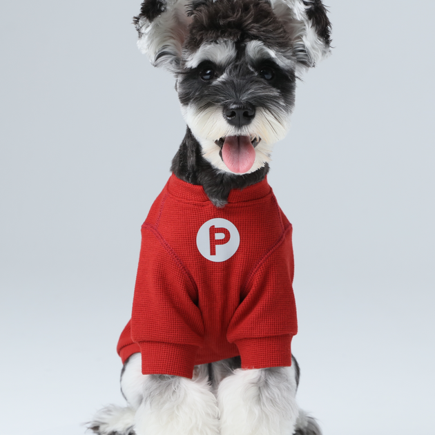 Embroidery Waffle T-Shirt - Red