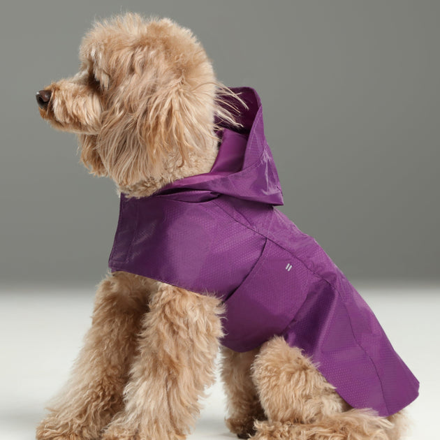 Capsule Raincoat - Purple