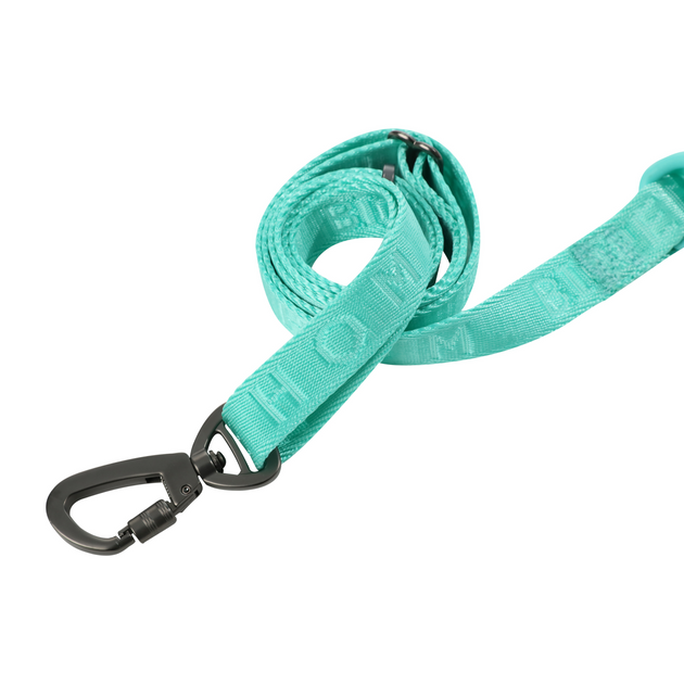 PADDED  ACTIVE  PET LEASH  - MINT GREEN