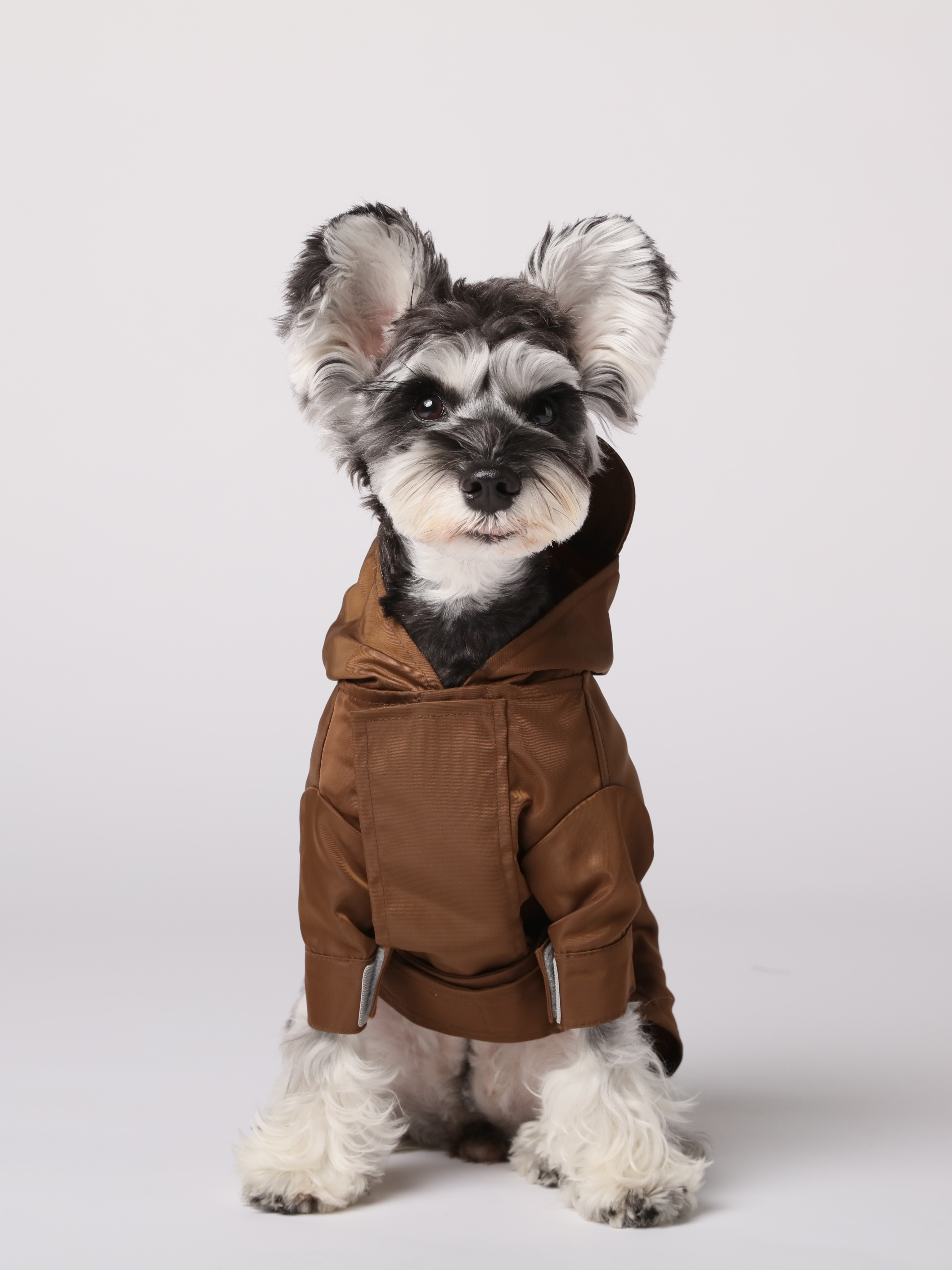 Tribeca adjustable velcro raincoat -  Choco