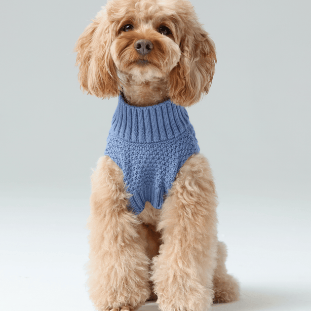 Pet Sweater Vest - Ice Blue