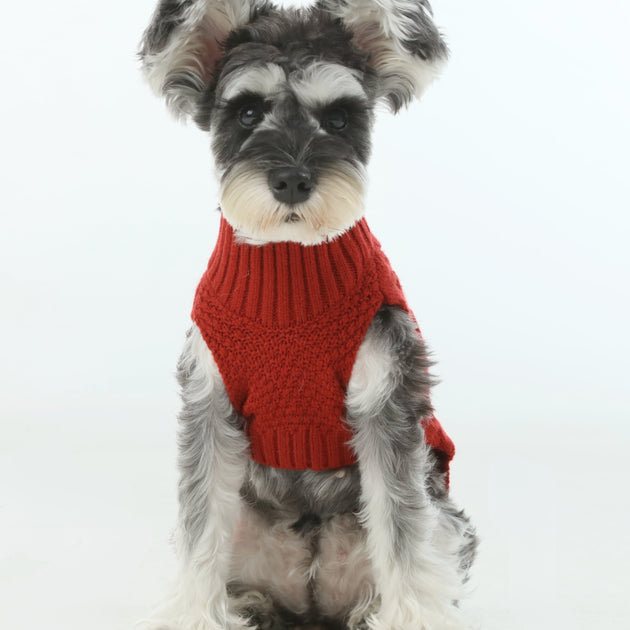 Pet Sweater Vest - Red