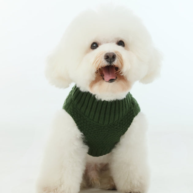 Pet Sweater Vest - Green