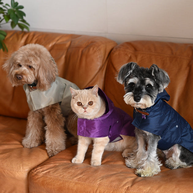 Capsule Raincoat - Beige