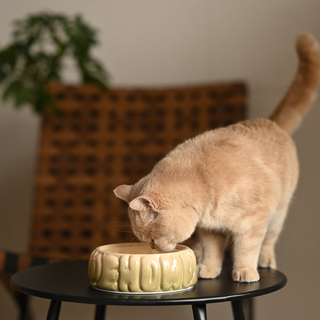 Puff Pet Bowl - Gradient Olive