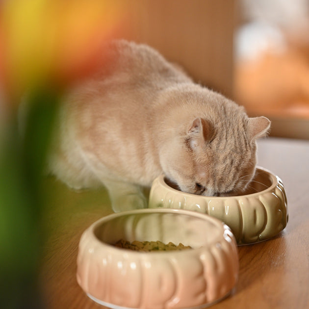 Puff Pet Bowl - Gradient Caramel