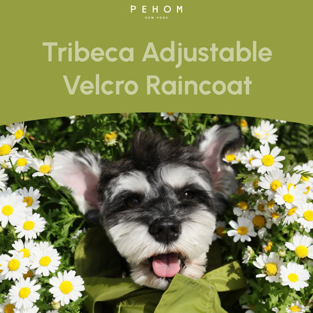 Tribeca adjustable velcro raincoat - Olive