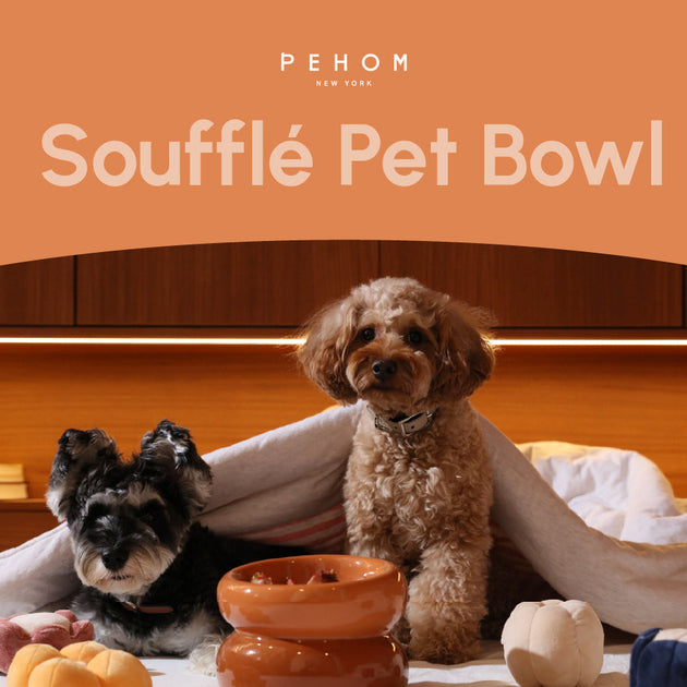 Soufflé Pet Bowl - Amber Orange