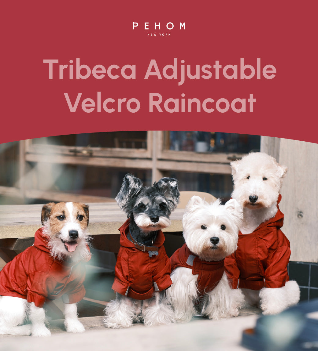 Tribeca adjustable velcro raincoat -  Burgundy