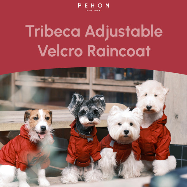 Tribeca adjustable velcro raincoat -  Burgundy