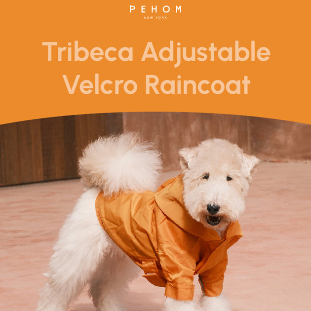 Tribeca adjustable velcro raincoat - Egg Yolk