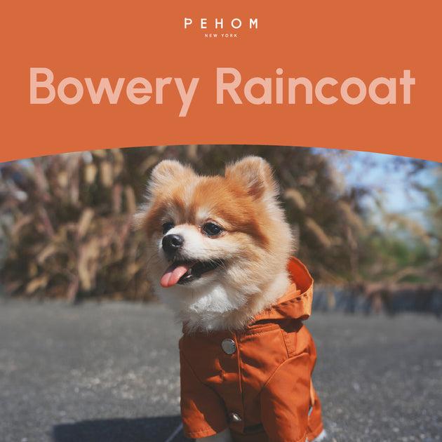 BOWERY RAINCOAT - ORANGE
