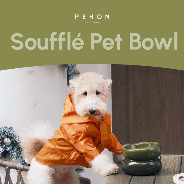 Soufflé Pet Bowl - Avocado Green