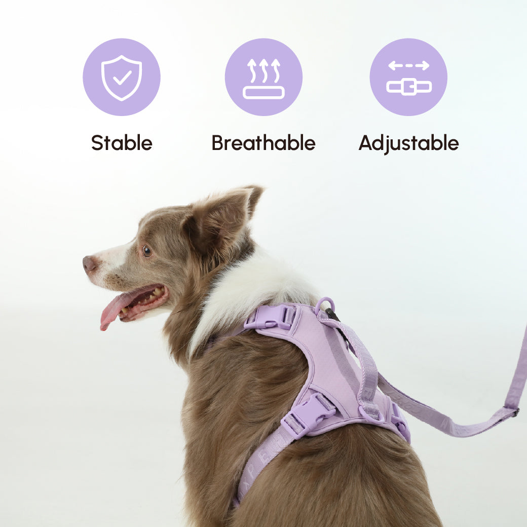 PADDED  ACTIVE  PET LEASH  - MINT PURPLE