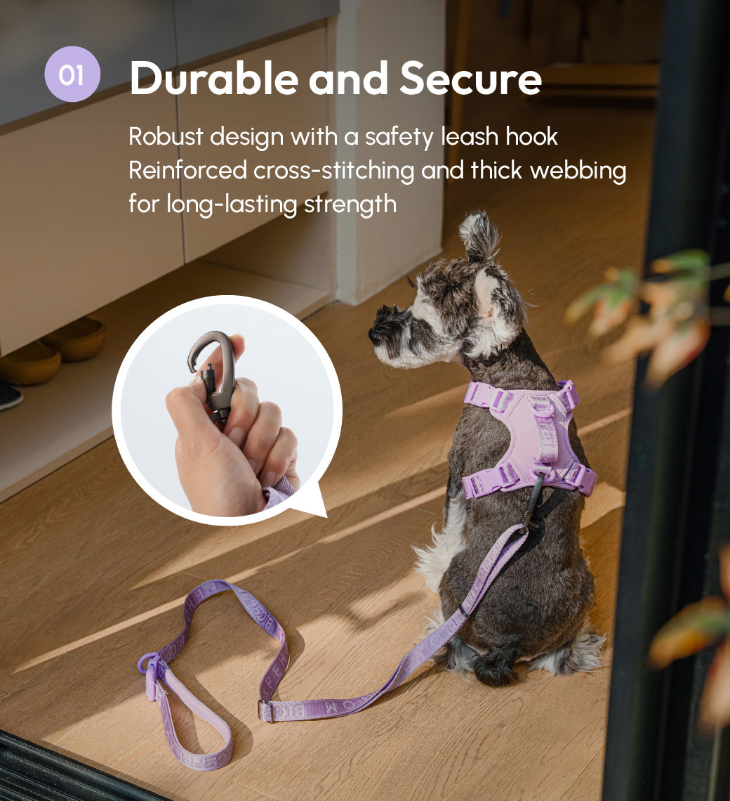 PADDED  ACTIVE  PET LEASH  - MINT PURPLE