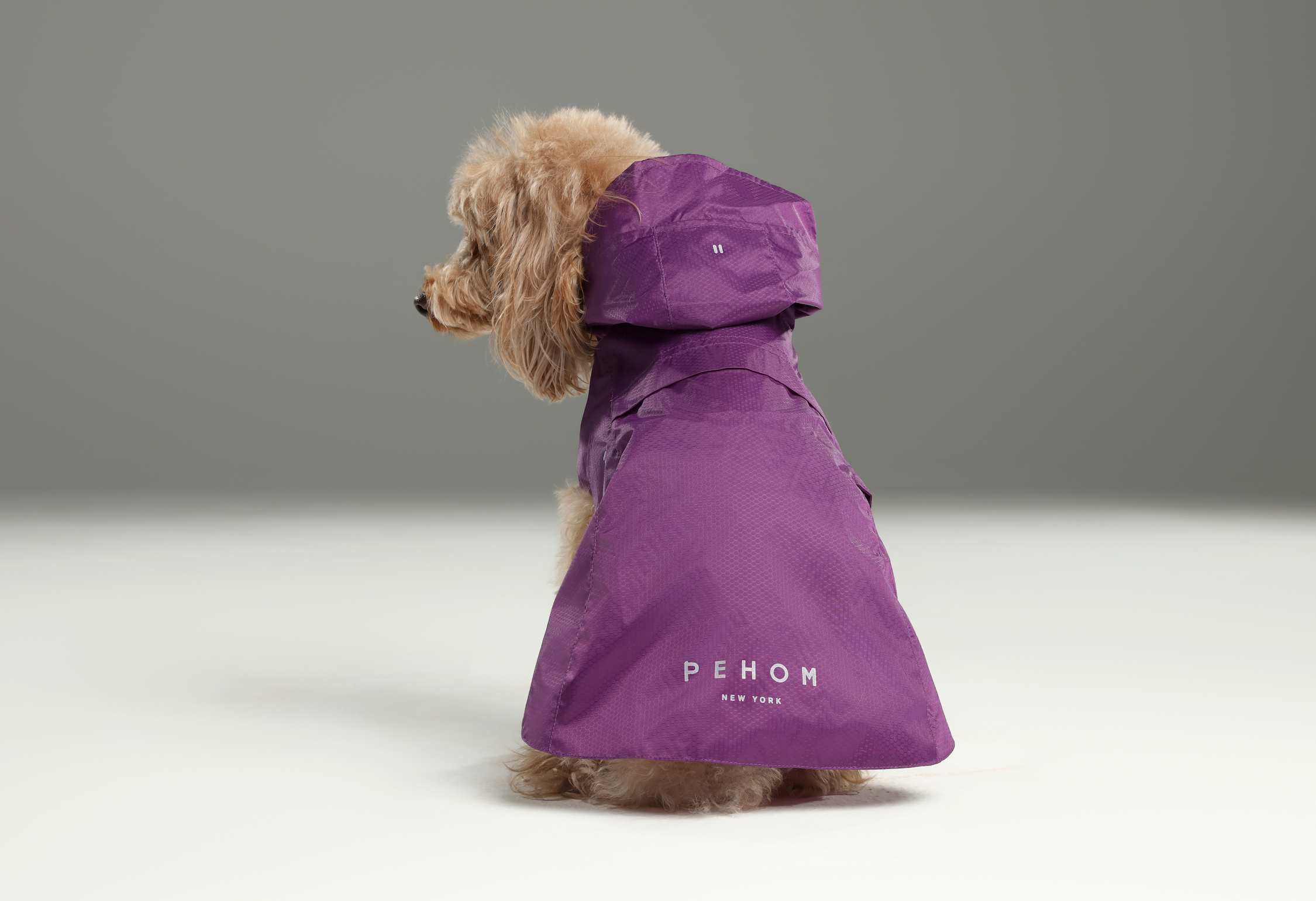 Capsule Raincoat - Purple
