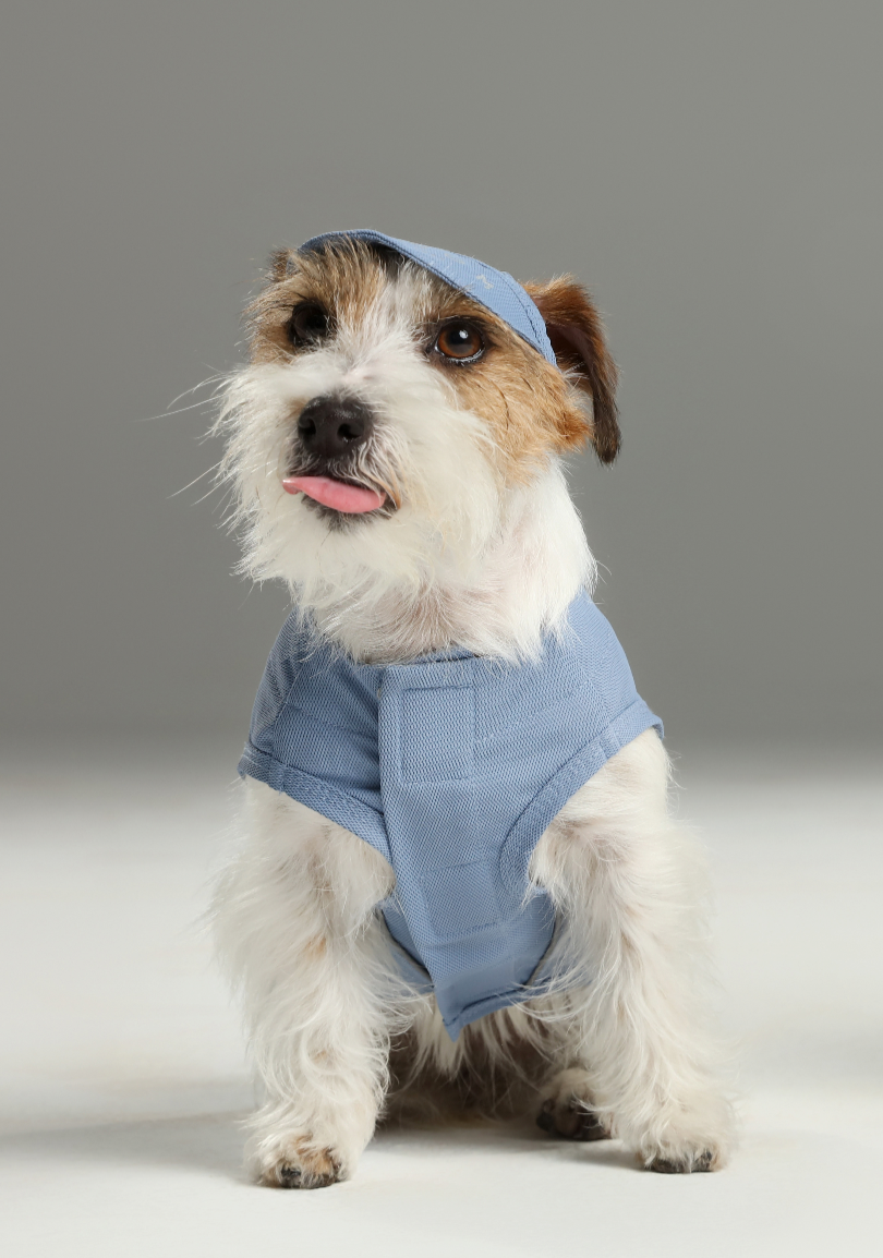 CHILL VEST SHIRT - BLUE