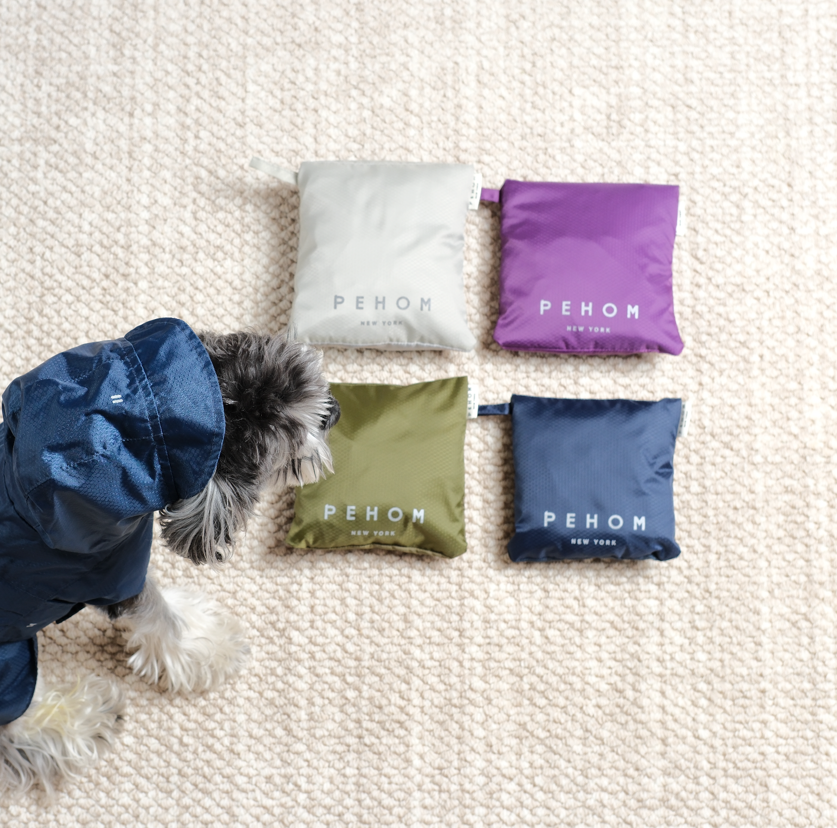 Capsule Raincoat - Purple