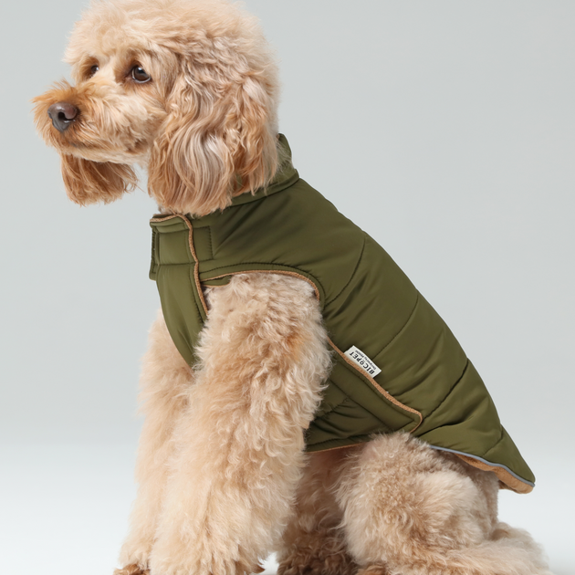 Reversible Dog Vest Jacket - Green Brown