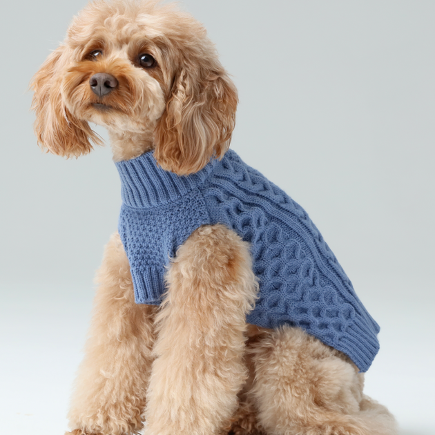 Pet Sweater Vest - Ice Blue