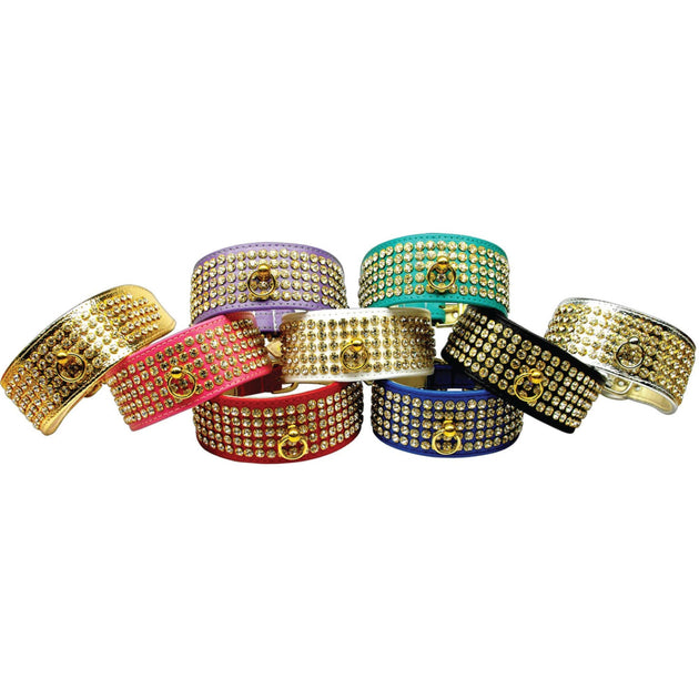 Dog, Puppy & Pet Collar, 