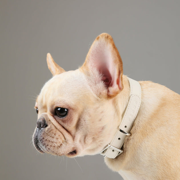 Andersen Calfskin Pet Collar