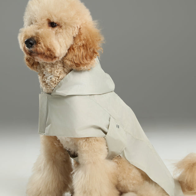 Capsule Raincoat - Beige