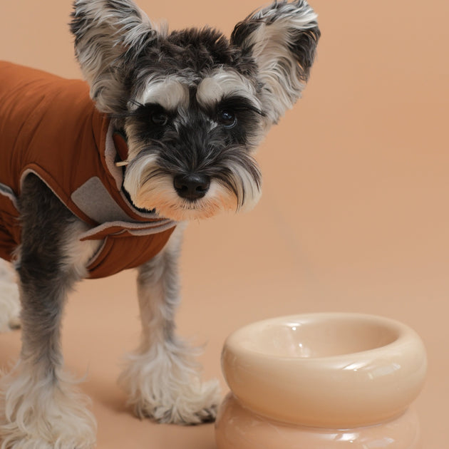 Soufflé Pet Bowl - Cream Beige
