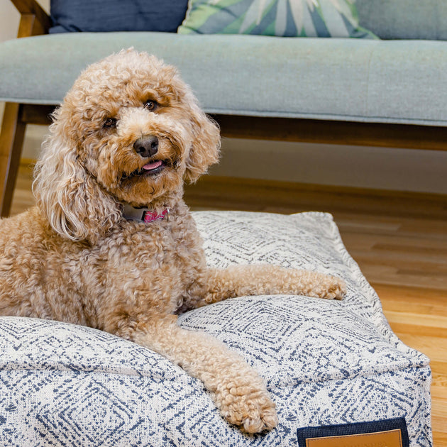 Lounger Pet Bed in Sapphire Spaniel